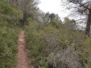 Montée à la Mouère